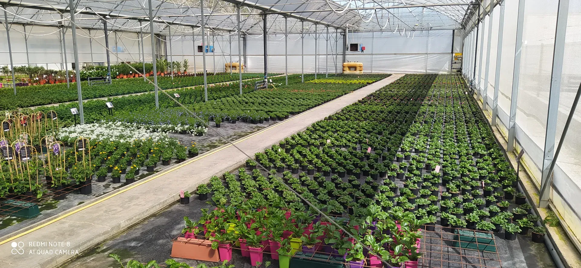 <span>Hortisyl · Pépinière</span>Horticulteur, Pépinière, Producteur de plantes vivaces